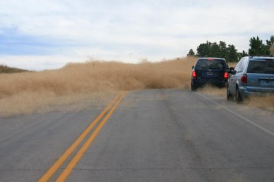 Grass Storm 1, the barrier.jpg
