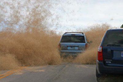Grass Storm 2, taking the risk.jpg