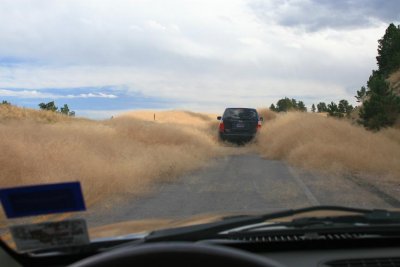 Grass Storm 2.5, follow the leader.jpg