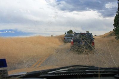 Grass Storm 3, moving along.jpg