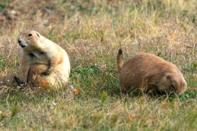 I'm so full_edited-1.jpg