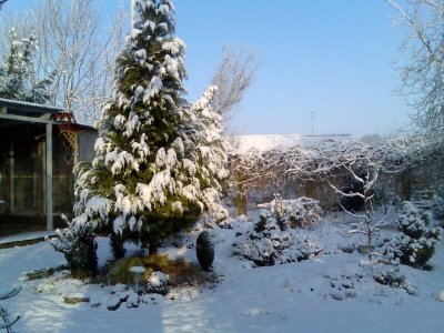 Winter