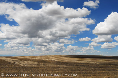 Alberta prairieland between Drumheller and Calgary