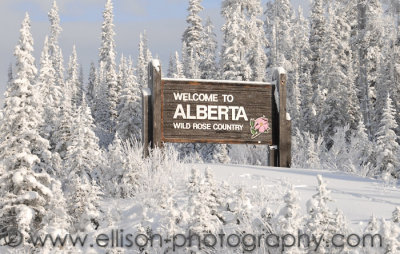 Welcome to Alberta!