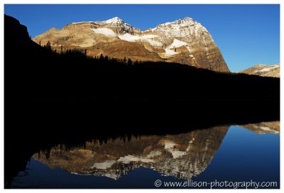 Autumn at Lake O'Hara - Odaray Mountain