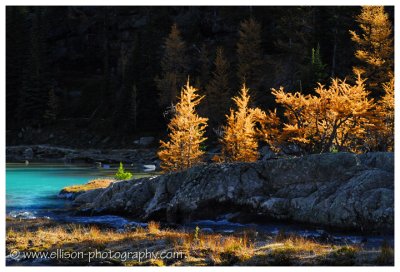 Autumn at Lake O'Hara