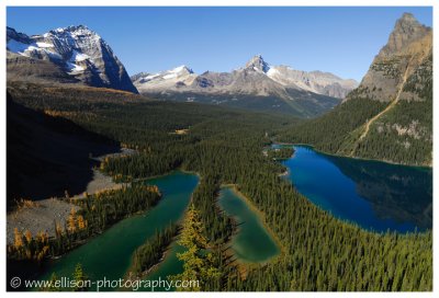 Autumn at Lake O'Hara - Mary Lake & Lake O'Hara