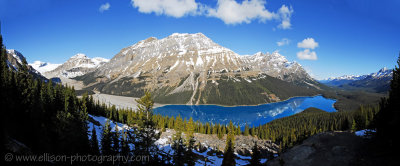 Peyto Lake - the colour has returned for the summer