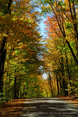 Algonquin PP