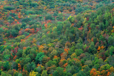 The dazzling colours of the Laurentians