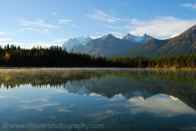 Herbert Lake