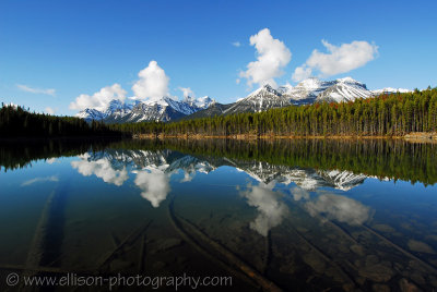 Herbert Lake