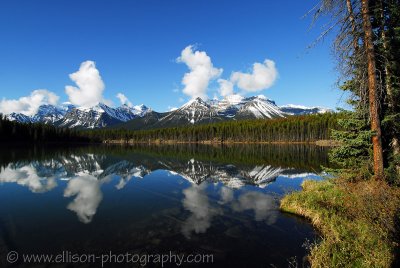 Herbert Lake