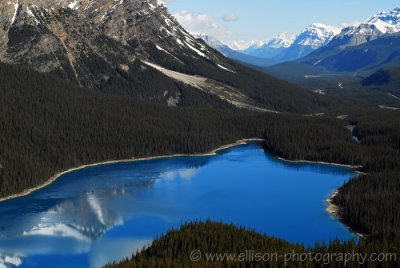 Peyto Lake