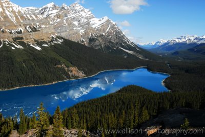 Peyto Lake