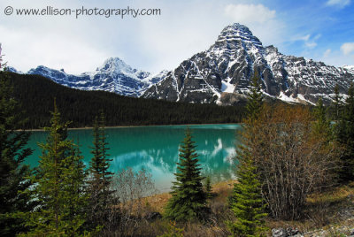 Mount Chephren reflected in Waterfowl Lake