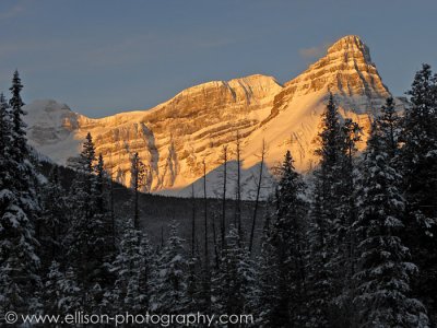 Mount Chephren