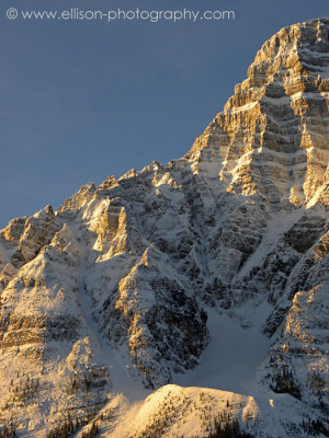 Mount Chephren