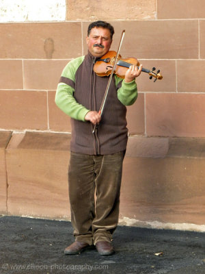 Musician at the Marktplatz