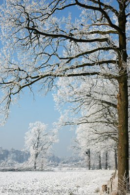 Mastbos, Breda