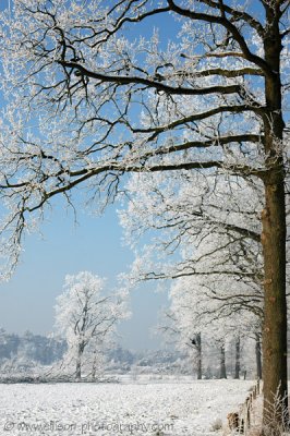 Mastbos, Breda