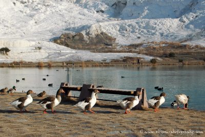 Pamukkale