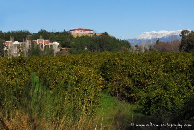 near Manavgat