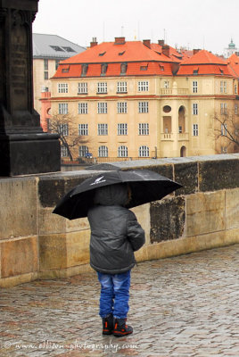 the umbrella boy