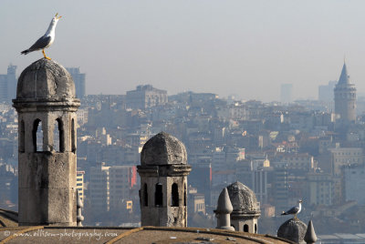 View of Galata from Sleymaniye Mosque wall