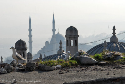 View from Sleymaniye Mosque wall