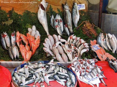 @ the Galata fish market
