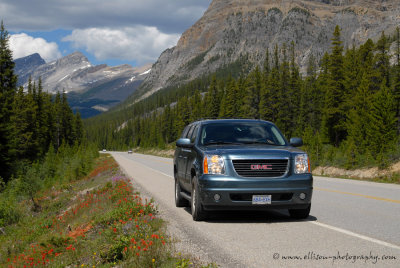 Canadian Rockies: Icefields Parkway