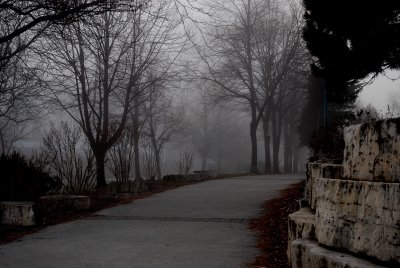 Foggy evening