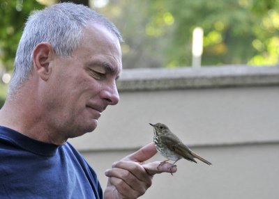 Stan and the Hermit Thrush