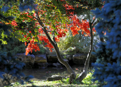 Autumn in High Park