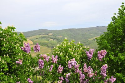 Radda in Chianti