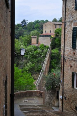 Siena