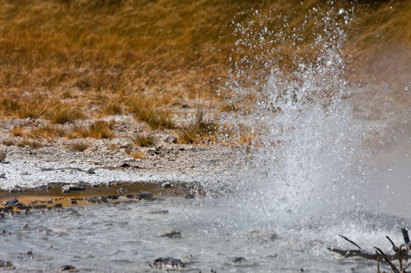 One Minute Geyser, Norris Geysir Bassin