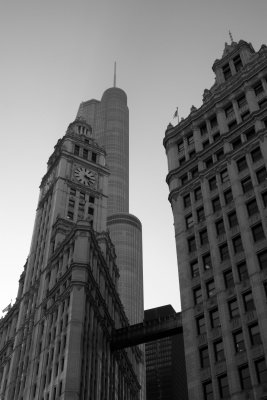 Chicago Downtown: Wrigley Building
