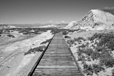 Salt Creek, Death Valley