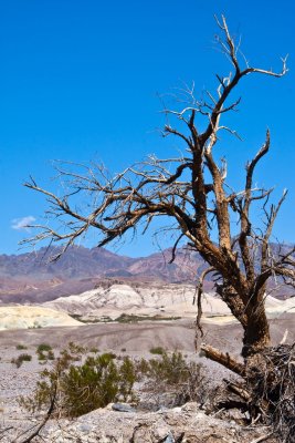 Furnace Creek, Death Valley
