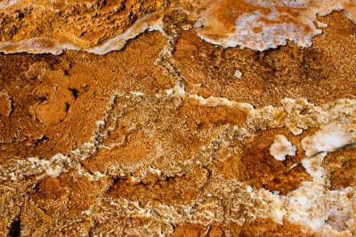 Mound Spring, Mammoth Hot Springs