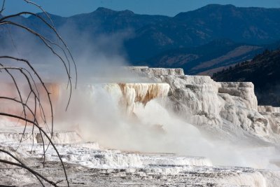 Canary Spring, Mammoth Hot Springs