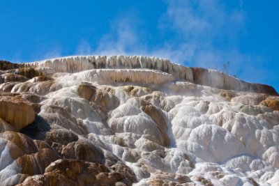 Palette Spring, Mammoth Hot Springs