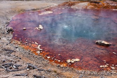 Echinus Geyser, Norris Geysir Bassin