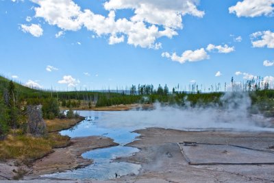 Green Dragon Spring, Norris Geysir Bassin