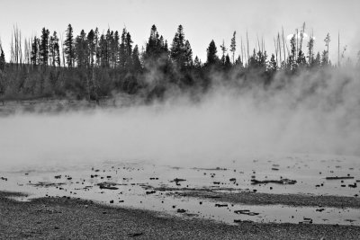 Green Dragon Spring, Norris Geysir Bassin