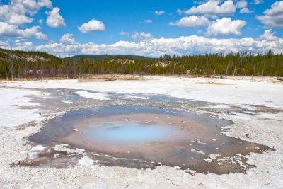 Pearl Geyser, Norris Geysir Bassin