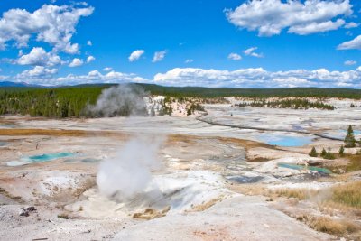 Porcelain Terrace, Norris Geysir Bassin