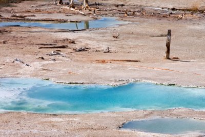 Porcelain Terrace,Norris Geysir Bassin